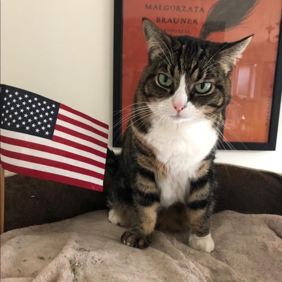 Meet your Posher, Crissy - Picture 1 of 1